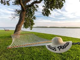 Endless Summer - Image 5